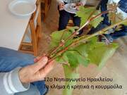 Τα παιδιά γνωρίζουν από κοντά το κλήμα