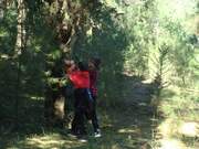 find your tree by touching